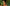 Promotion banner